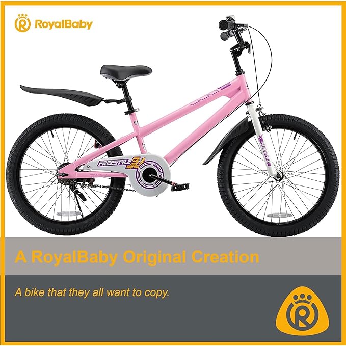 RoyalBaby Kids Bike EZ Balance to Pedal Dual Handbrake Toddlers Boys Girls Bicycle 12-20 Inch for Age 3-10 Years