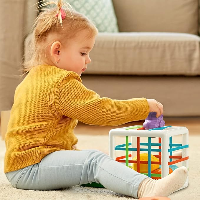 Montessori Toys for 1 Year Old, Cube & 6 Sensory Shape Blocks, Baby Toys 12-18 Months, Developmental Infant Birthday Gifts for Learning Toddler Age 1 2 3