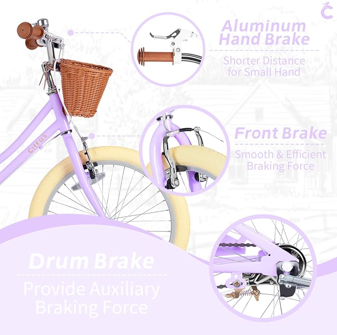 Girls Bike for Age 2-12 Years Old Kids Toddlers 12 14 16 18 20 Inches Retro Bicycles with Training Wheels Basket Bell Ring, Multiple Colors