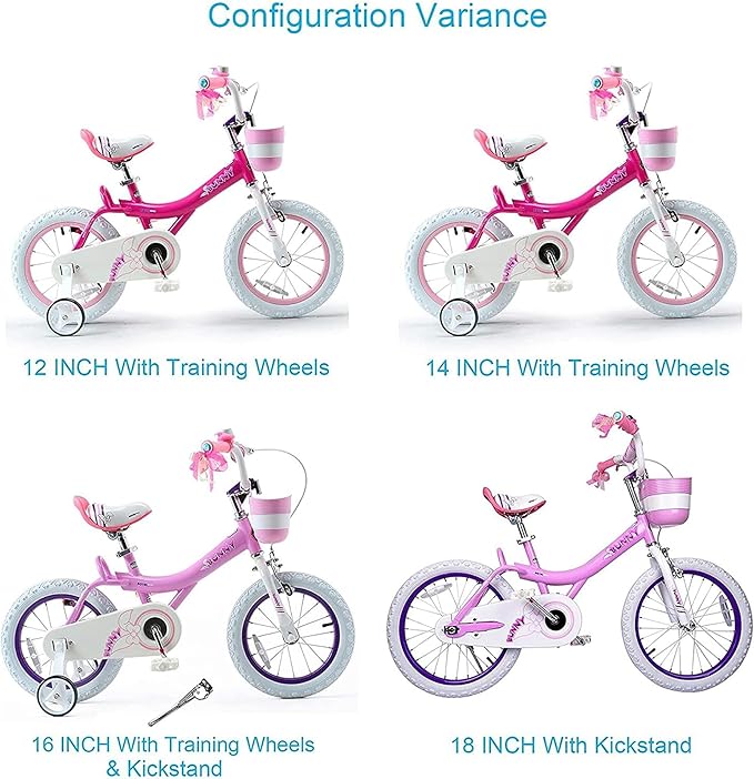 Royalbaby Princess Girls Kids Bike 12 14 16 18 20 Inch Children Bicycle with Basket for Age 3-12 Years