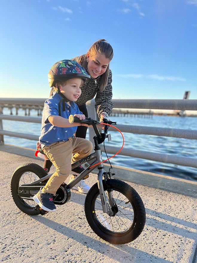 RoyalBaby Kids Bike EZ Balance to Pedal Dual Handbrake Toddlers Boys Girls Bicycle 12-20 Inch for Age 3-10 Years