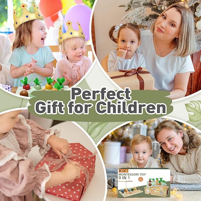 Montessori Wooden Toys for 1+ Year Old, 9 in 1 Montessori Toddler Toy with Preschool Educational Toys for 2+ Year Old, Birthday for Boys Girls