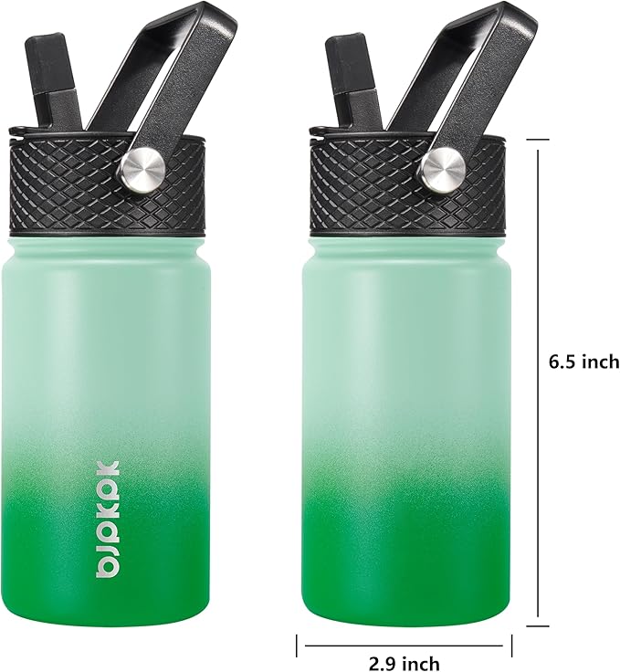 BJPKPK Water Bottle with Straw Lid, 15 oz Insulated Water Bottle, Stainless Steel Metal Water Bottles, Reusable Leak Proof BPA Free Thermo, Flask, Cups, Meadow