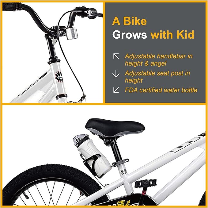 RoyalBaby Kids Bike EZ Freestyle Training Free Balance to Pedal Easy Learning Bicycle, 12-18 Inch for Toddlers to Big Kids