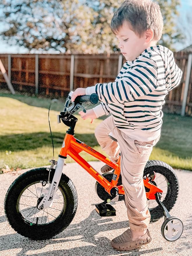 RoyalBaby Kids Bike EZ Freestyle Training Free Balance to Pedal Easy Learning Bicycle, 12-18 Inch for Toddlers to Big Kids