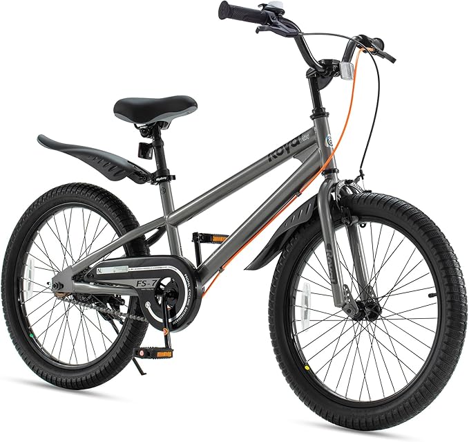 RoyalBaby Kids Bike EZ Balance to Pedal Dual Handbrake Toddlers Boys Girls Bicycle 12-20 Inch for Age 3-10 Years