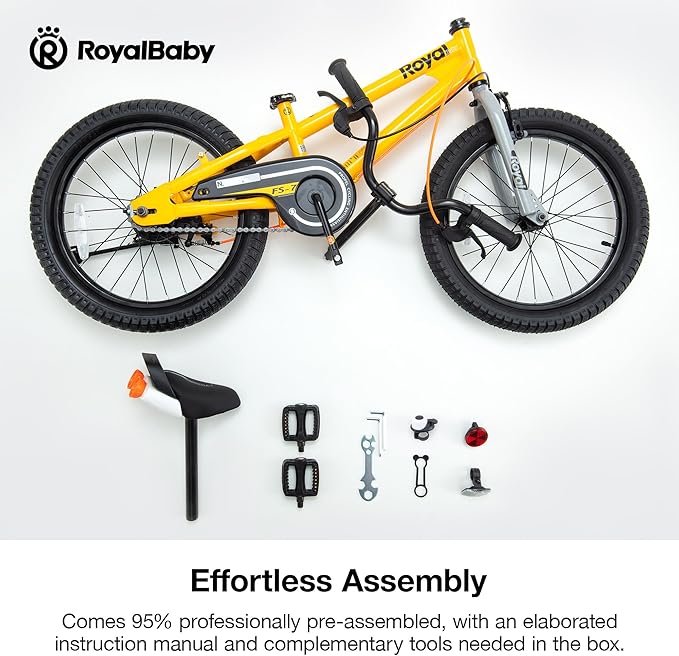 RoyalBaby Kids Bike EZ Balance to Pedal Dual Handbrake Toddlers Boys Girls Bicycle 12-20 Inch for Age 3-10 Years