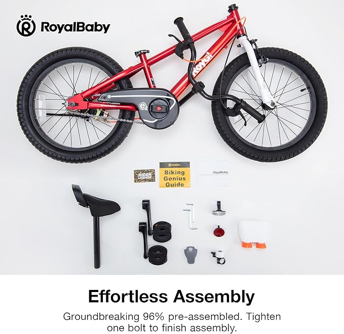 RoyalBaby Kids Bike EZ Balance to Pedal Dual Handbrake Toddlers Boys Girls Bicycle 12-20 Inch for Age 3-10 Years