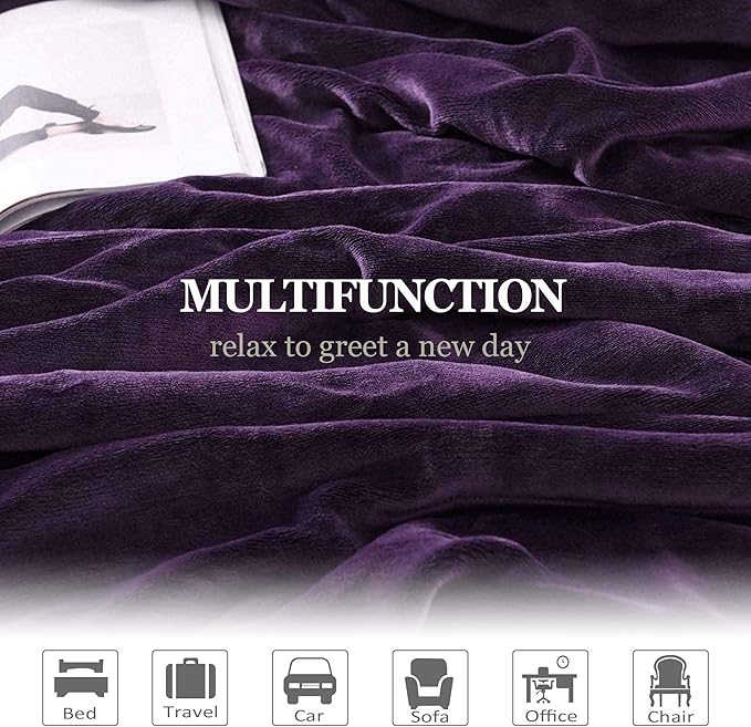 NANPiper Sherpa Blanket - Twin Size Thick Velvet Plush Reversible Bed Blanket for Winter - Purple (60"x80")