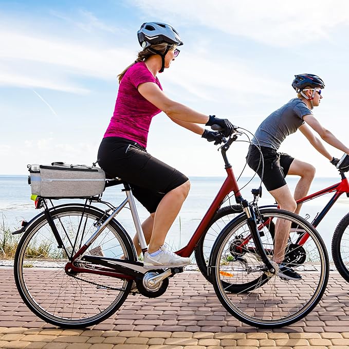 RAYMACE Bike Rear Rack Bag with Tail Light, Bike Truck Cooler Bag for Warm or Cold Items