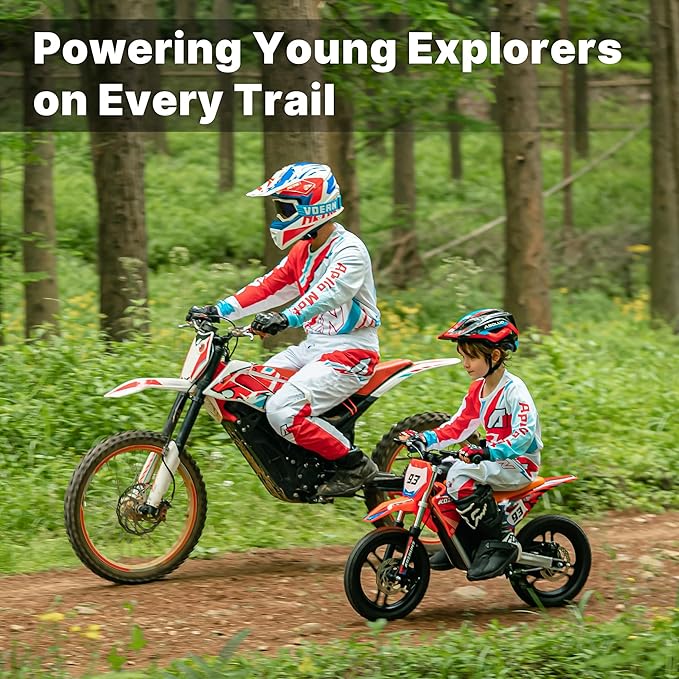 Electric Dirt Bike for Kids, Powerful Motorcycle for Ages 3-6, 24V 2.6Ah Lithium Battery, Dual Shock Absorption, 2 Speed Modes, Safe Disc Brake, 12Inch Off Road Tires, Red