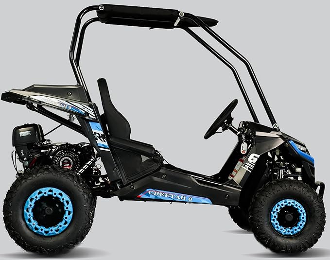 TrailMaster Cheetah 6 Youth Go-Kart - 163cc 5.5HP Engine, 4-Point Safety Belt, Remote Kill, Speed Governor, Suitable for Kids 6-12. with Pre-Assembled Version Now! (Plus, Blue)