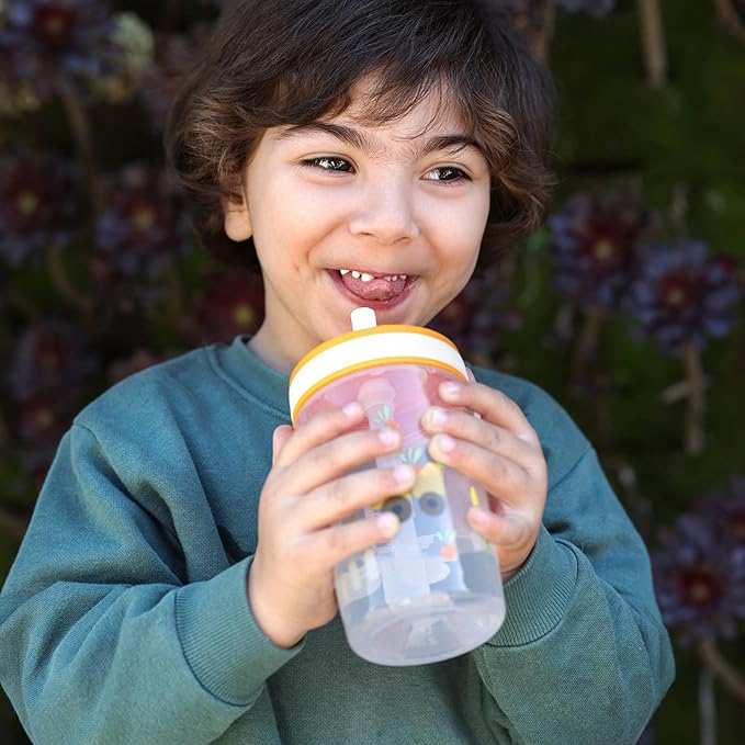 Zak Designs Kelso Toddler Cups For Travel or At Home, 15oz 2-Pack Durable Plastic Sippy Cups With Leak-Proof Design is Perfect For Kids (Silly Goose, Harvest)