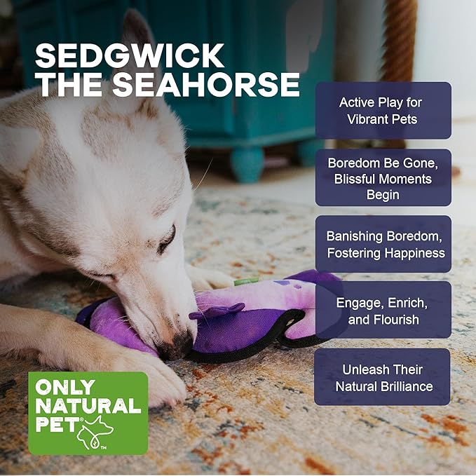 Only Natural Pet Sea Creatures Recycled Plush Dog Toys - Durable Double-Stitched Design with Internal Squeaker, Crinkle Coronet & Squishable Belly - Squeaky Pet Toy | Sedgwick The Seahorse, 4" x 11"