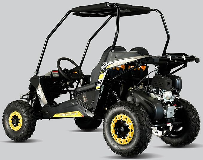 TrailMaster Cheetah 6 Youth Go-Kart - 163cc 5.5HP Engine, 4-Point Safety Belt, Remote Kill, Speed Governor, Suitable for Kids 6-12. with Pre-Assembled Version Now! (Plus, Yellow)