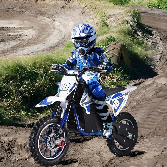 Electric Dirt Bike for Kids Teens Adults, 350W Mid-Drive Motor and 15.5MPH Electric Motorcycle with 36V/7.5AH Battery Ebike, Full Suspensions Mountain Off-Road E Bike, Hydraulic Brakes