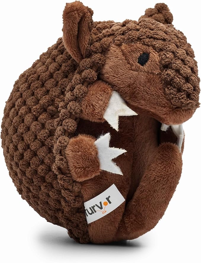 Flourish Pets 3 in 1 Multi-Layer Chew Toy for Active Dogs | Non-Toxic BPA Free Double Stitched Soft Fabric Exterior Dog Toys | Long-Lasting Dog Plush Toys – Large Armadillo 7"