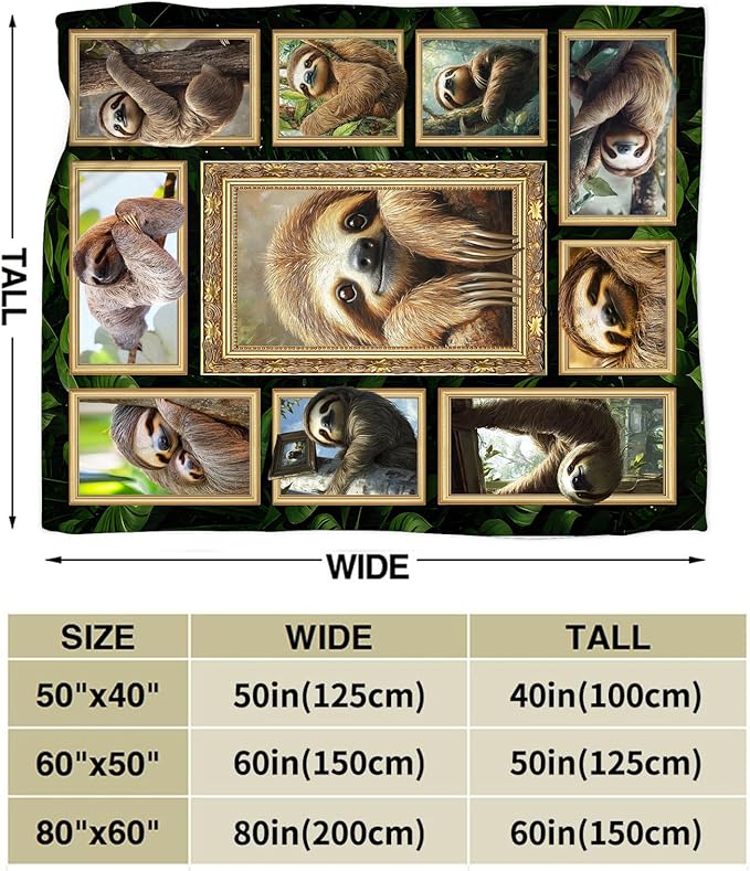 Sloth Blanket Fleece Soft Warm Plush Sloth Throw Blanket Lightweight Plush Fuzzy Cozy Blankets for Lover Kids Adult Suitable for Couch Sofa Bed 50"X40"