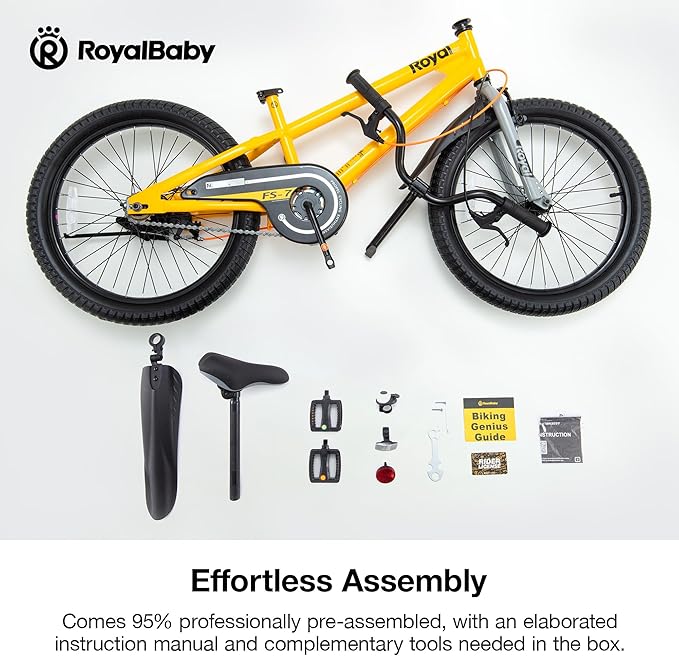 RoyalBaby Kids Bike EZ Balance to Pedal Dual Handbrake Toddlers Boys Girls Bicycle 12-20 Inch for Age 3-10 Years