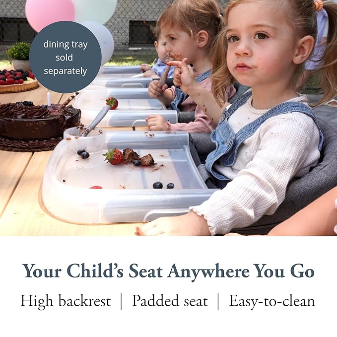 Inglesina Fast Table Chair, Stone Gray Melange - Portable Baby High Chair - for Babies & Toddlers up to 37 lbs - Fits Tables 0.8'' to 3.5'' Thick - Compact & Easy to Use - Travel Bag Included