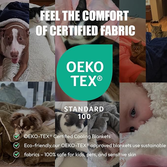 NANPIPER Sherpa Blanket Twin Size for Couch, Warm and Lightweight Throw, Soft Fuzzy Plush Fleece for Winter, Plum Purple 60x80 Inches