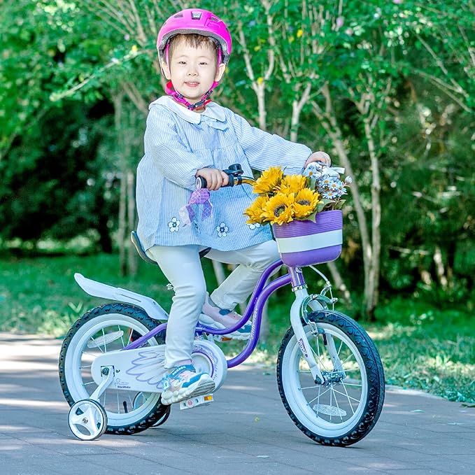 Royalbaby Princess Girls Kids Bike 12 14 16 18 20 Inch Children Bicycle with Basket for Age 3-12 Years