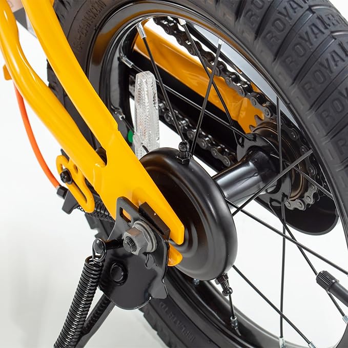 RoyalBaby Kids Bike EZ Balance to Pedal Dual Handbrake Toddlers Boys Girls Bicycle 12-20 Inch for Age 3-10 Years