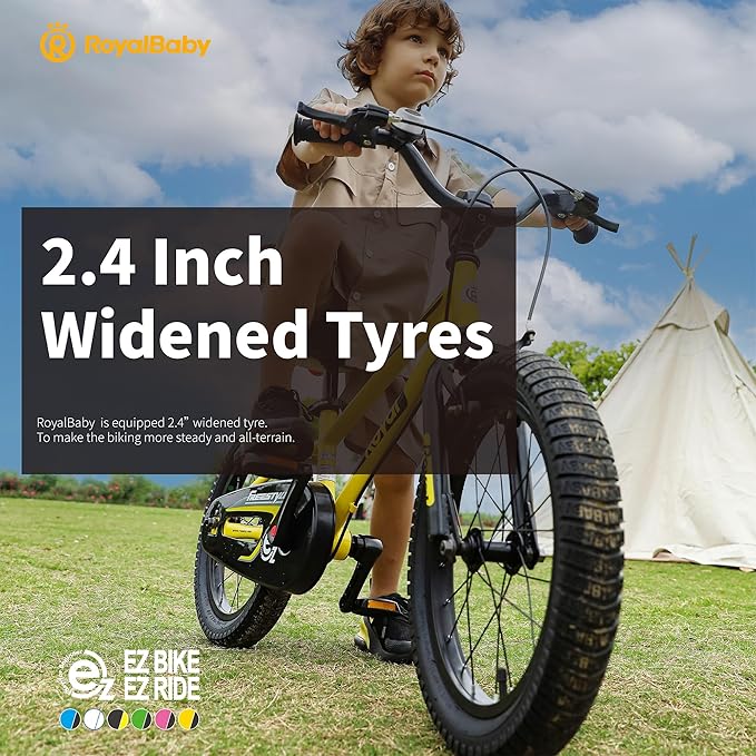 RoyalBaby Kids Bike EZ Balance to Pedal Dual Handbrake Toddlers Boys Girls Bicycle 12-20 Inch for Age 3-10 Years