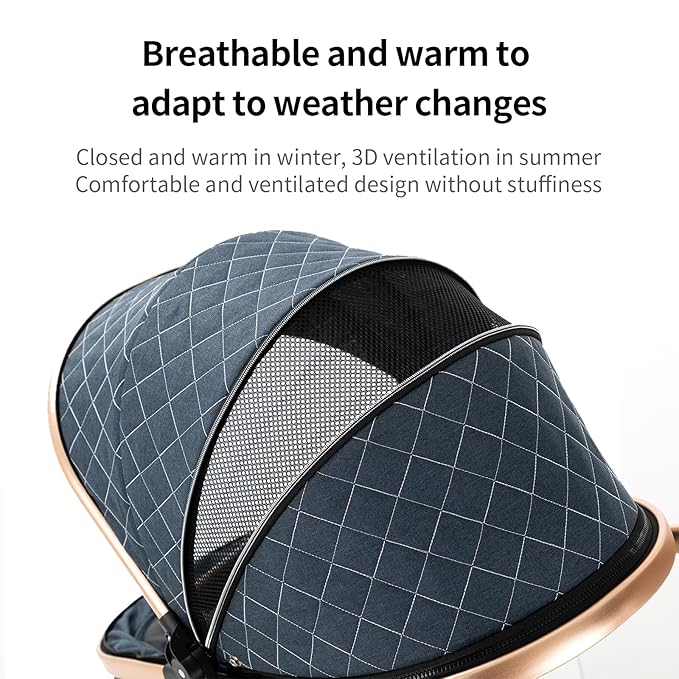 2 in 1 Baby Stroller with Bassinet Mode, Reversible Infant Pram, One-Click Folding, Newborn Travel Stroller, Convertible Toddler Standard Pram Carriage (X2US-BG)