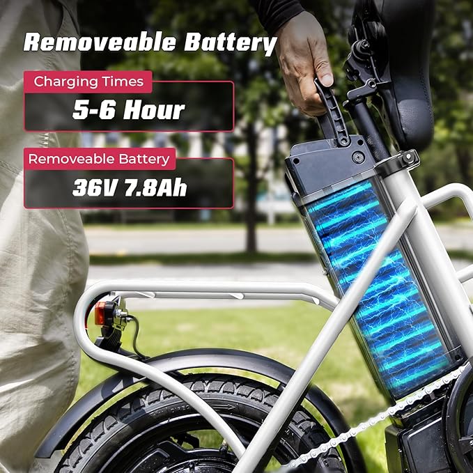 S14/S16 Electric Bike for Adults, Max 19/22 MPH Speed & 28/50 Miles Range (PAS), 500W/750W Peak Motor, Foldable, Lightweight, Shock Absorbers, UL 2849 Certified Ebike