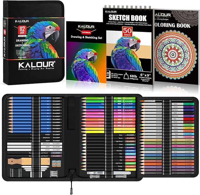 112 Drawing Set Sketching Kit, Pro Art Supplies with 3-Color Sketchbook & Coloring Book, Neon, Colored, Watercolor, Metallic, Graphite, Charcoal Pencils, Gift for Artists Adults Teens