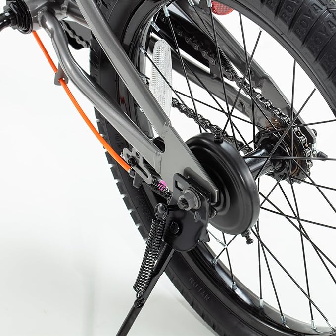 RoyalBaby Kids Bike EZ Balance to Pedal Dual Handbrake Toddlers Boys Girls Bicycle 12-20 Inch for Age 3-10 Years