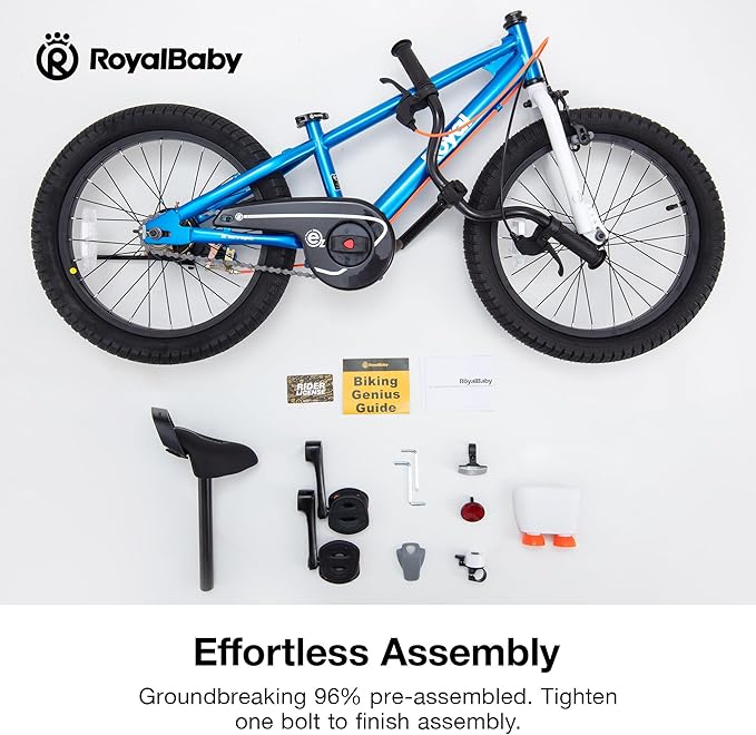 RoyalBaby Kids Bike EZ Balance to Pedal Dual Handbrake Toddlers Boys Girls Bicycle 12-20 Inch for Age 3-10 Years