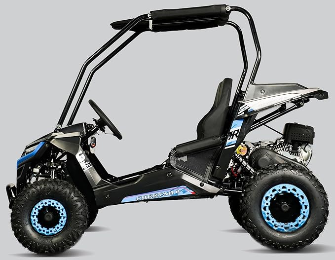 TrailMaster Cheetah 6 Youth Go-Kart - 163cc 5.5HP Engine, 4-Point Safety Belt, Remote Kill, Speed Governor, Suitable for Kids 6-12. with Pre-Assembled Version Now! (Plus, Blue)