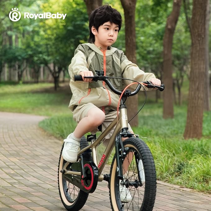 RoyalBaby EZ Kids Bike, Lightweight Aluminum 2-in-1 Balance to Pedal Bike for Beginners Easy Learn Biking, Boys Girls