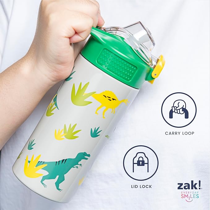 Zak Designs Disney Moana Sage Kids Water Bottle For School or Travel, 14oz Stainless Steel Water Bottle With Straw, Handle, and Leak-Proof, Pop-Up Spout Cover (Moana, Maui, Pua, Hei Hei)