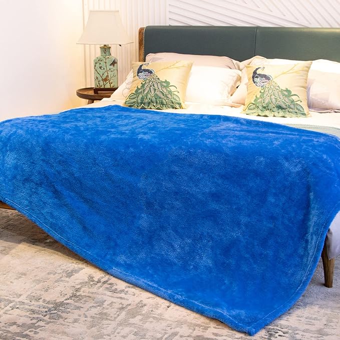Fleece Throw Blanket Cozy Soft Lightweight Throw Blankets Warm Plush Blue Fall Blankets and Throws Couch Sofa Bed Camping Travel Picnic Outdoor Blanket Bedding Kid Baby Boys Girls Adults 50x70 in