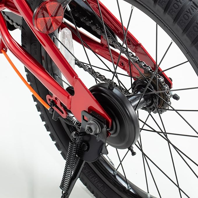 RoyalBaby Kids Bike EZ Balance to Pedal Dual Handbrake Toddlers Boys Girls Bicycle 12-20 Inch for Age 3-10 Years