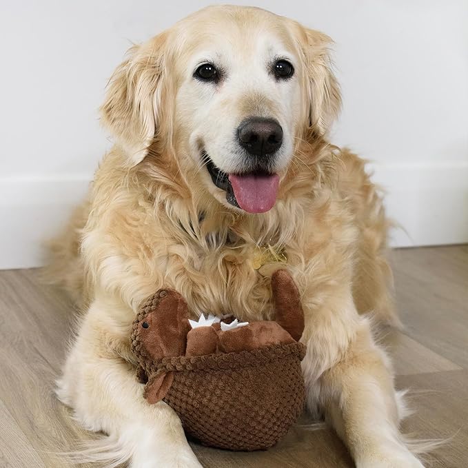 Flourish Pets 3 in 1 Multi-Layer Chew Toy for Active Dogs | Non-Toxic BPA Free Double Stitched Soft Fabric Exterior Dog Toys | Long-Lasting Dog Plush Toys – Large Armadillo 7"