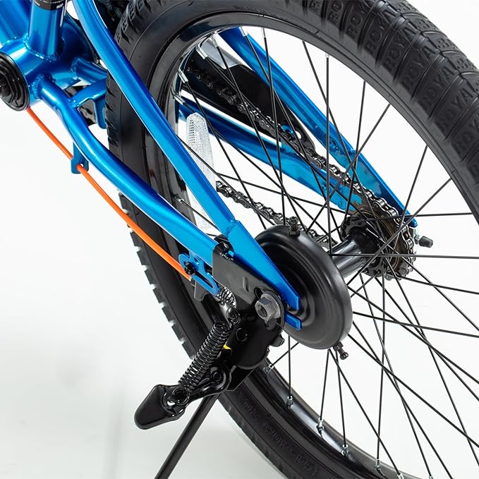 RoyalBaby Kids Bike EZ Balance to Pedal Dual Handbrake Toddlers Boys Girls Bicycle 12-20 Inch for Age 3-10 Years