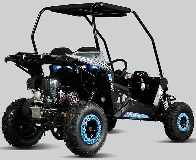 TrailMaster Cheetah 6 Youth Go-Kart - 163cc 5.5HP Engine, 4-Point Safety Belt, Remote Kill, Speed Governor, Suitable for Kids 6-12. with Pre-Assembled Version Now! (Plus, Blue)