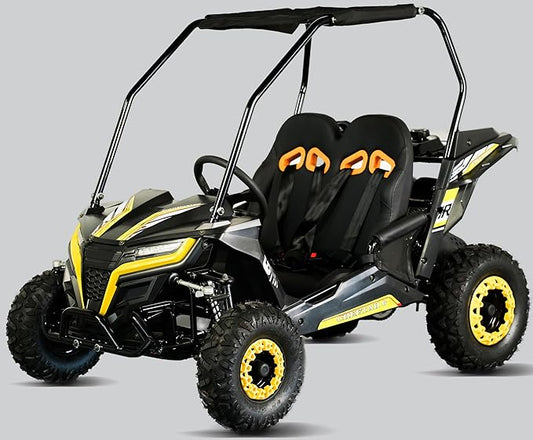 TrailMaster Cheetah 6 Youth Go-Kart - 163cc 5.5HP Engine, 4-Point Safety Belt, Remote Kill, Speed Governor, Suitable for Kids 6-12. with Pre-Assembled Version Now! (Plus, Yellow)
