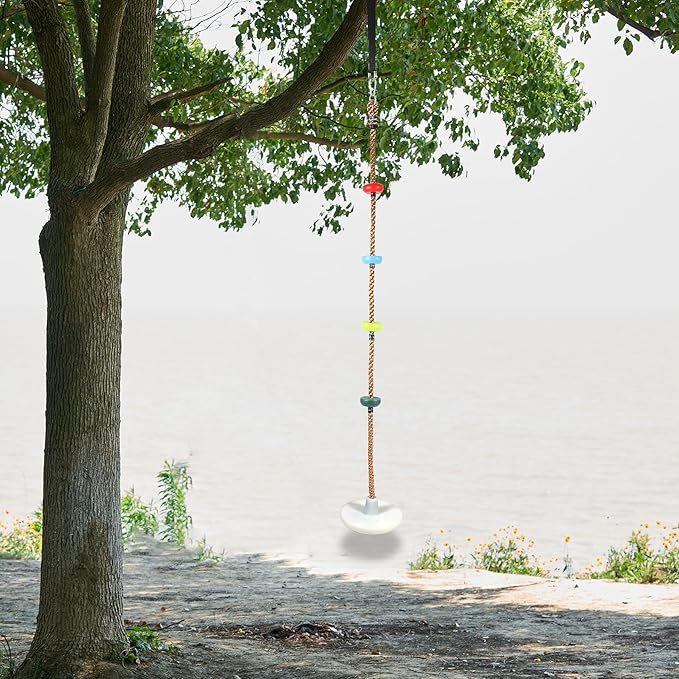 REDCAMP LED Climbing Rope Swings for Trees, Heavy Duty Plastic Disc Swing Seat for Kids and Adults with Hanging Strap and Snap Hooks, Multicolor