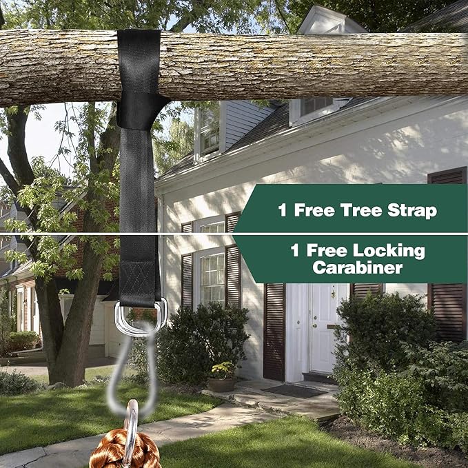 REDCAMP Climbing Rope Swings for Trees, Heavy Duty Plastic Disc Swing Seat for Kids and Adults with Hanging Strap and Snap Hooks, Green