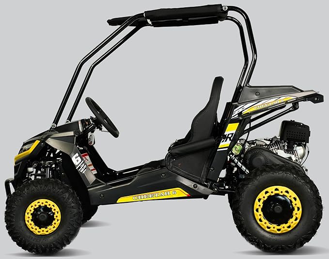 TrailMaster Cheetah 6 Youth Go-Kart - 163cc 5.5HP Engine, 4-Point Safety Belt, Remote Kill, Speed Governor, Suitable for Kids 6-12. with Pre-Assembled Version Now! (Plus, Yellow)