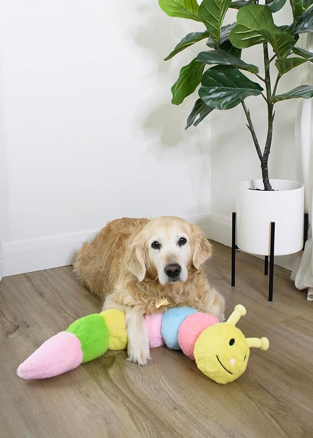 Flourish Pets 3 in 1 Multi-Layer Chew Toy for Active Dogs | Non-Toxic BPA Free Double Stitched Soft Fabric Exterior Dog Toys | Long-Lasting Dog Plush Toys - Small Catterpillar (20″)