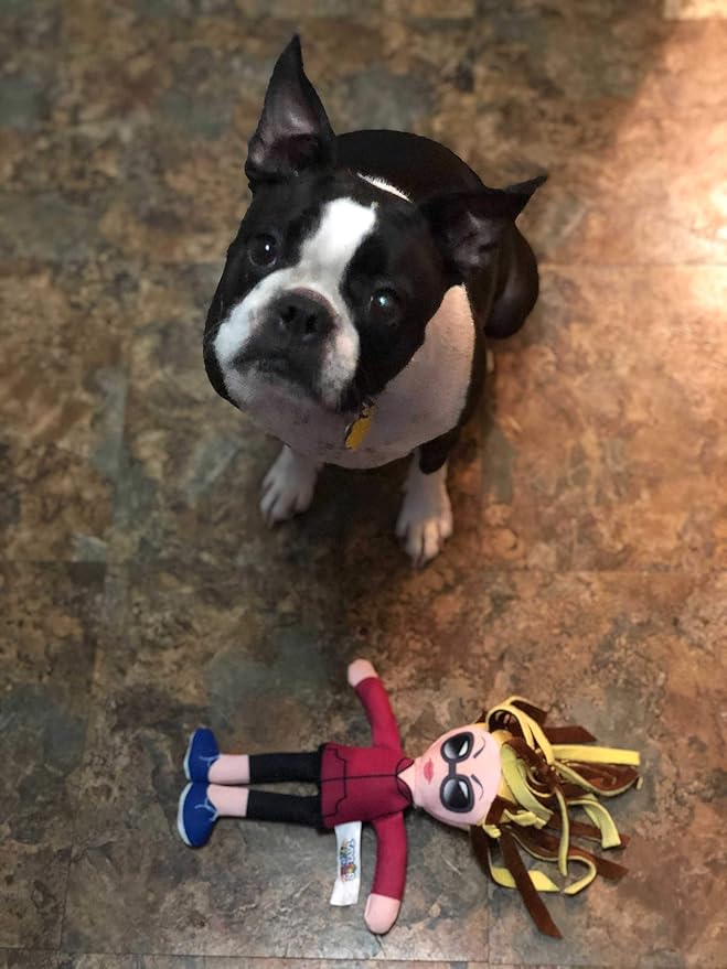 Taylor Toy Dog Toys, Karen Squeaky Dog Plush Toys for Puppies & Adults (Small to Large) - Durable Chew Stuffed Animal for Aggressive Chewers, Funny Interactive Gift with Squeakers for Playtime