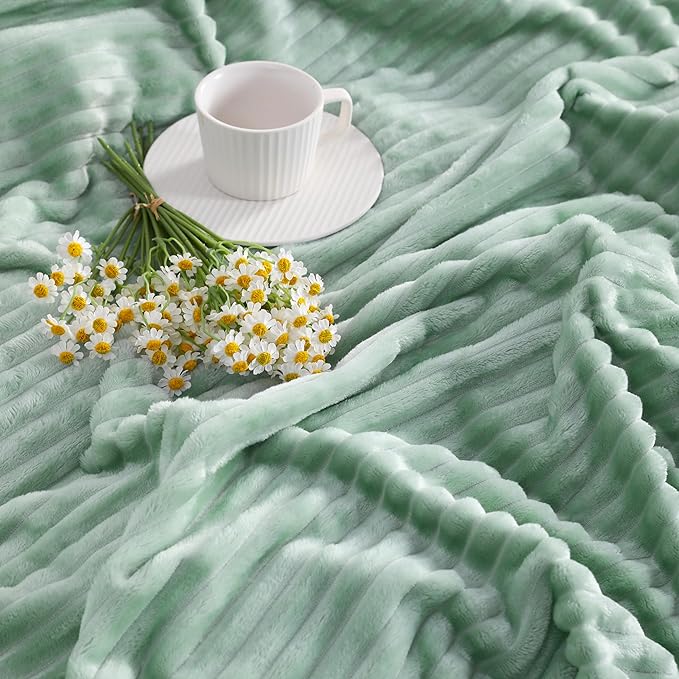 NTBAY Plush Flannel Twin Bed Blanket, 60x80 Inches Soft and Warm Lightweight Bed Blanket with Striped Texture for Couch, Sofa, All Seasons, Mint