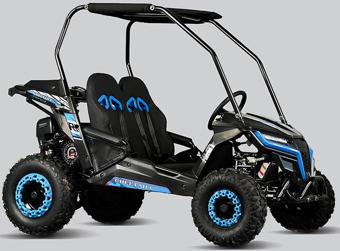 TrailMaster Cheetah 6 Youth Go-Kart - 163cc 5.5HP Engine, 4-Point Safety Belt, Remote Kill, Speed Governor, Suitable for Kids 6-12. with Pre-Assembled Version Now! (Plus, Blue)