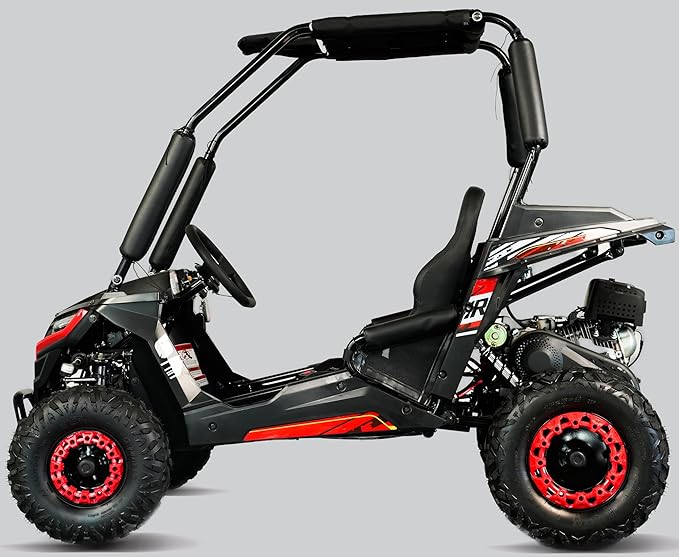 TrailMaster Cheetah 6 Youth Go-Kart - 163cc 5.5HP Engine, 4-Point Safety Belt, Remote Kill, Speed Governor, Suitable for Kids 6-12. with Pre-Assembled Version Now! (Plus, Red)